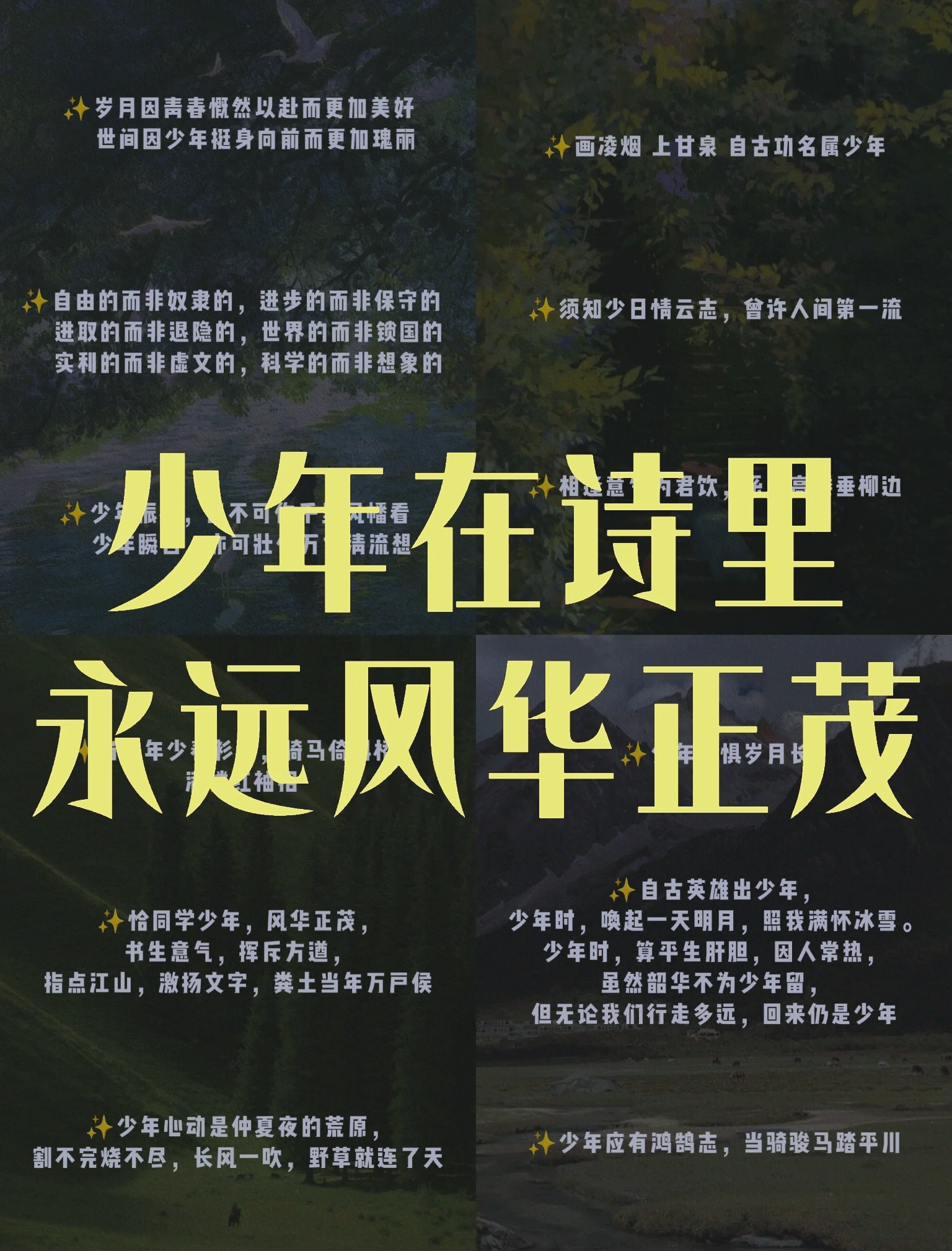 青春飞扬:青年比赛精彩纷呈,风采绽放的简单介绍 青春飞扬:青年比赛精彩纷呈,风采绽放的简单介绍