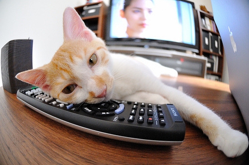 钢铁城墙与法老叹息，阿坎吉的统治力如何提前终结利物浦悬念