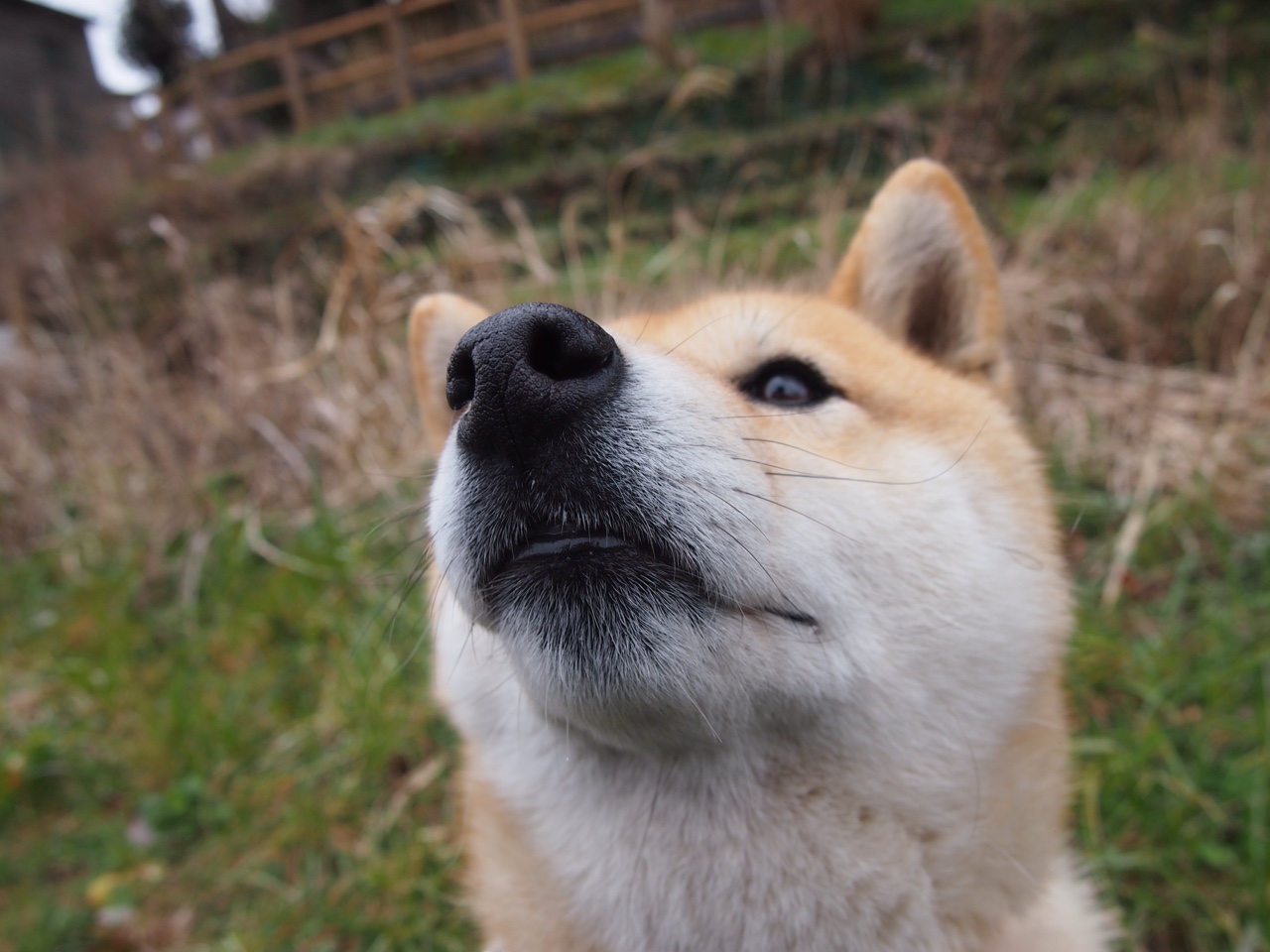 开云体育入口-高温熔炉,维尼修斯如何在丹麦战术围城中破局