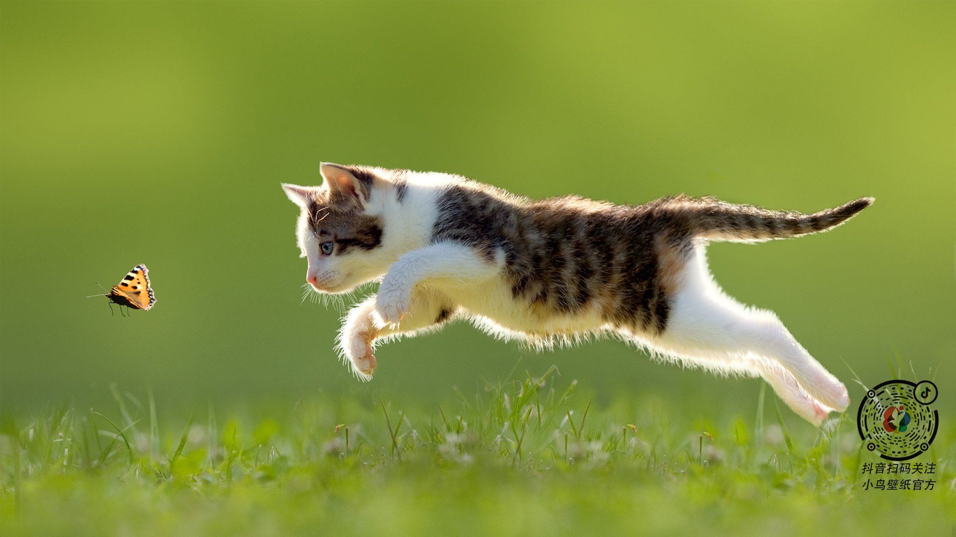 跨越大洋的43分，当深圳防线遭遇杜兰特的神话级表现