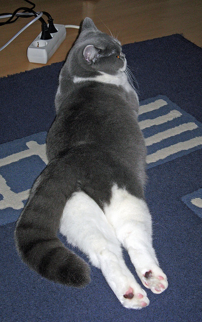 中场与压迫，罗德里终场绝杀如何撕裂毕尔巴鄂的战术牢笼？