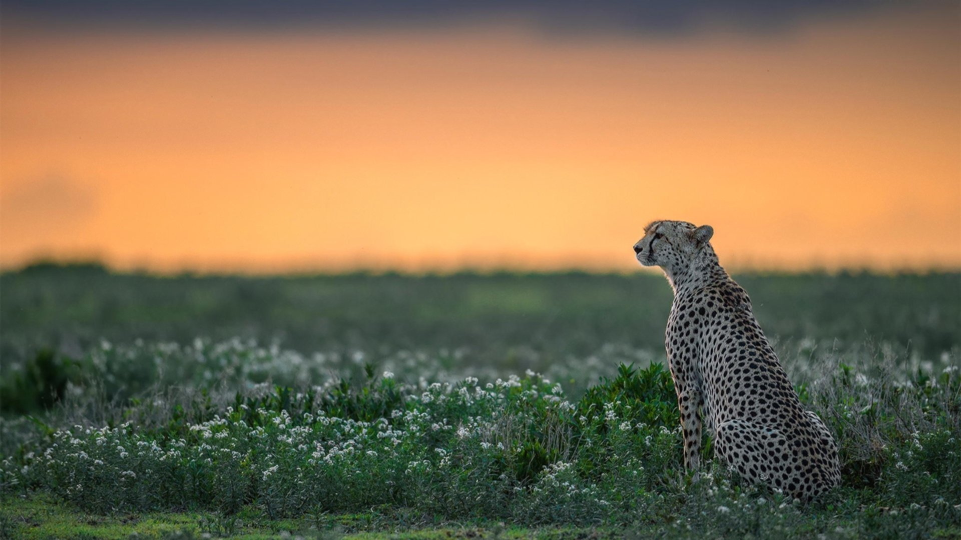 铁骑踏破天河，当山西黑马以团队魔法击碎广东王朝