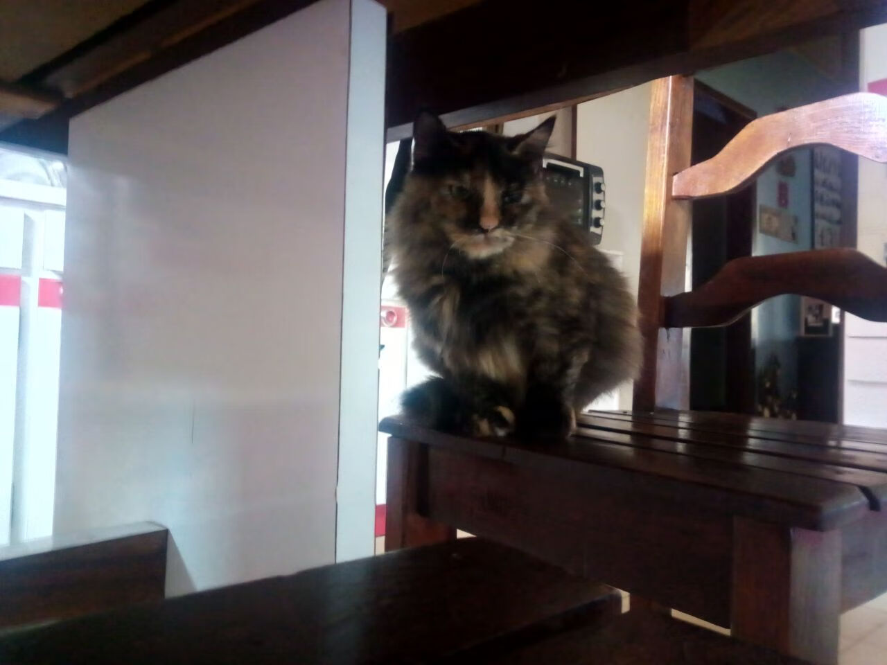 开云APP-速度与高度，F1新赛季燃擎起航，爵士主场完胜雄鹿