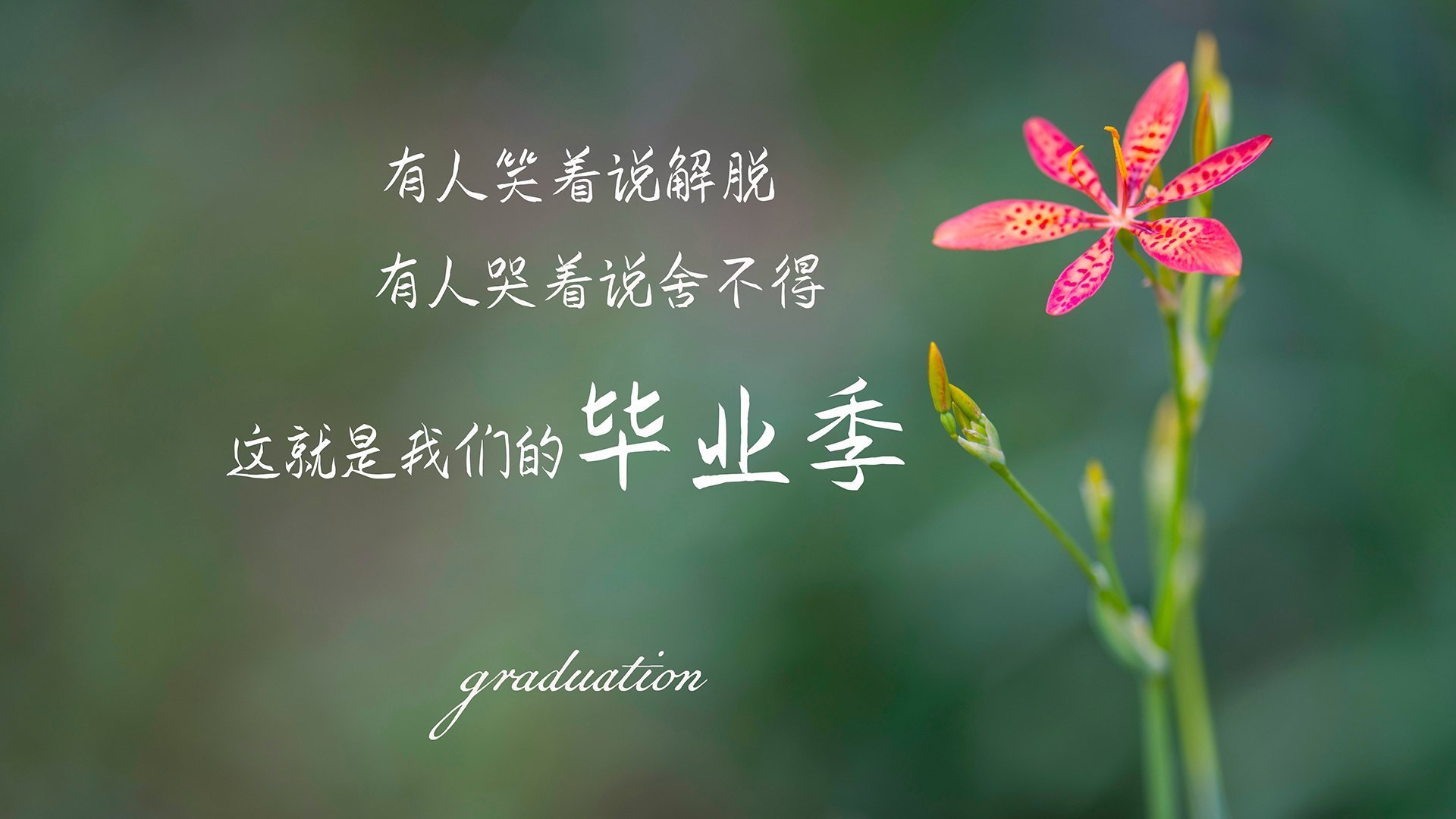 绞杀与反绞杀,复盘马赛如何用窒息式战术让坎特沦为背景板