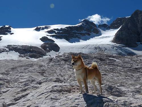 起立鼓掌！森林狼大战勇士，哈登用副作用抢光所有戏码