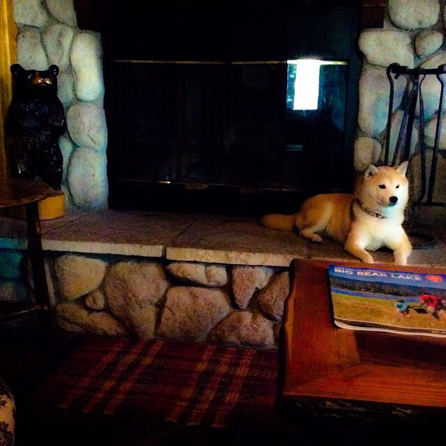 双重征服，从墨尔本球场到摩纳哥街道的统治力展示