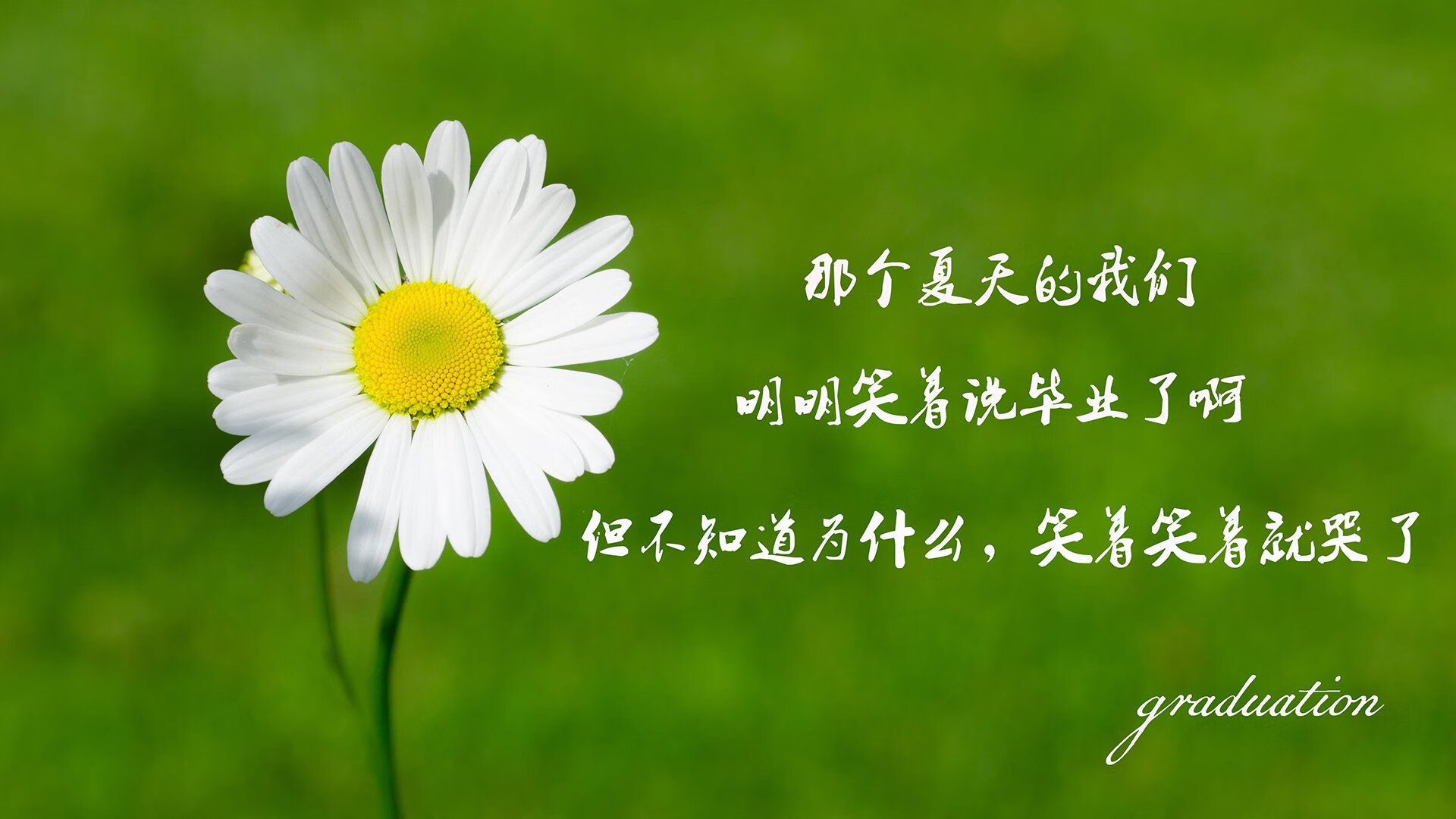开云APP-钢铁洪流席卷斗牛士,波兰攻守美学闪耀2026,京多安定格G组巅峰之战
