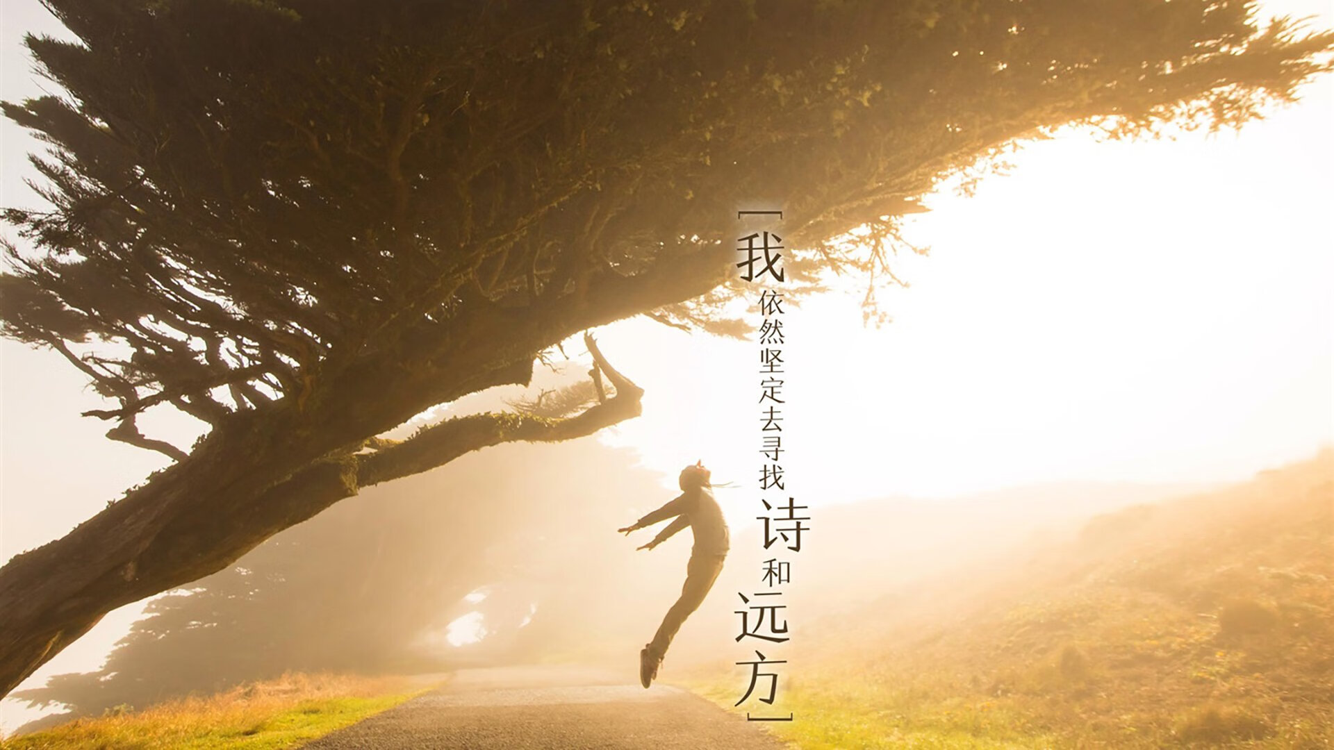 开云体育登录-命运交错,2026世界杯再现历史重演,迪亚斯铁血指挥助印度绝杀捷克,控球王道铸就经典一战