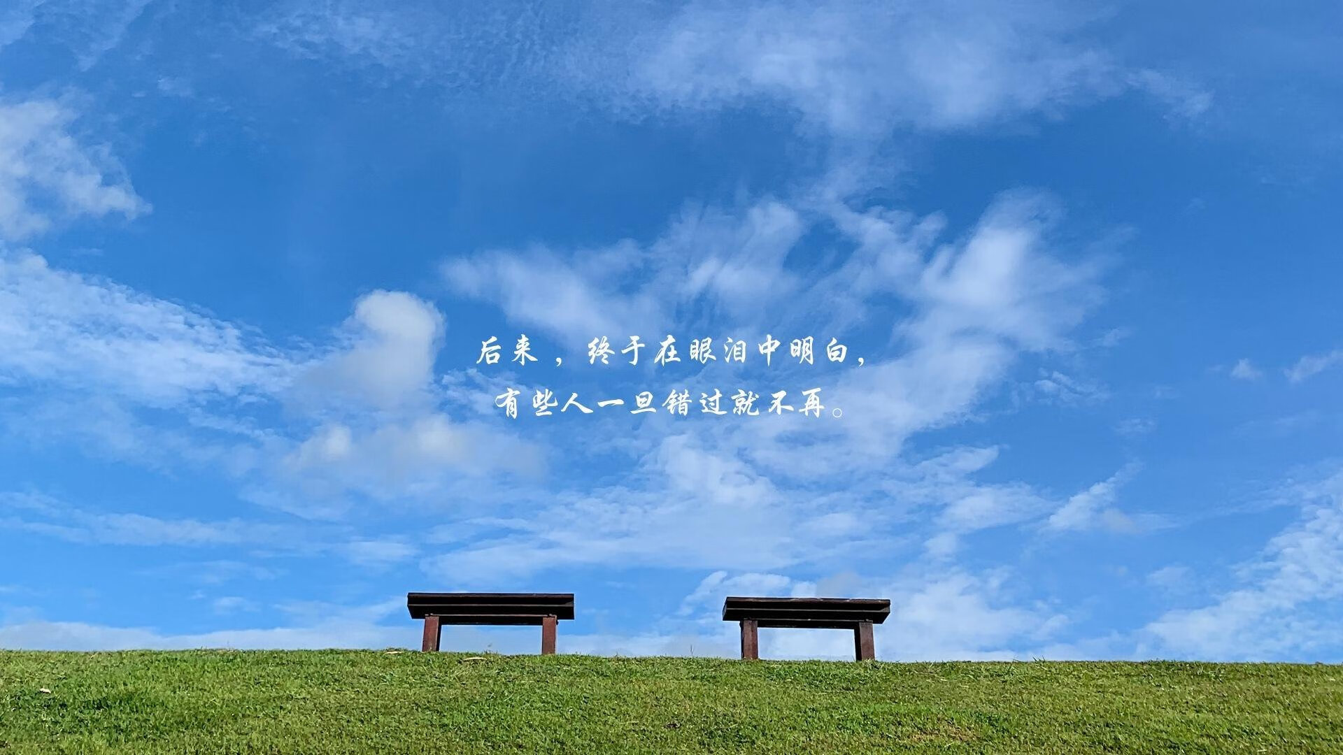 开云体育登录-王者归途,2026世界杯焦点战,德国以罗德里戈之刃斩落波兰,战术革命的完美注脚