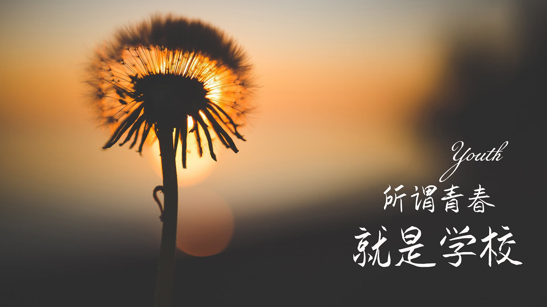 开云体育app-2026世界杯F组激战正酣,乌拉圭力克智利,C罗闪耀中场,老将新星共铸经典