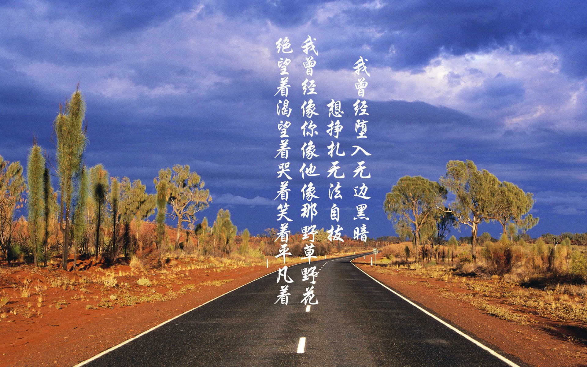北极光下的橙衣将军,范戴克如何用一场非典型胜利,为2026世界杯G组写下唯一剧本